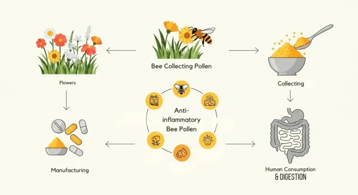 Why Bee Pollen’s Powerful Health Benefits Are Creating a Buzz in Wellness Circles